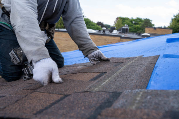 Best Commercial Roofing Services  in Shawsville, VA