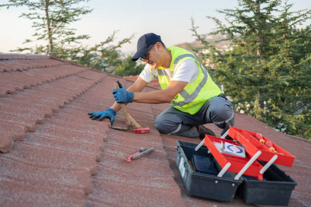 Best Roof Leak Repair  in Shawsville, VA