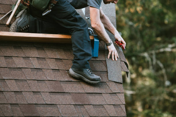 Roof Gutter Cleaning in Shawsville, VA